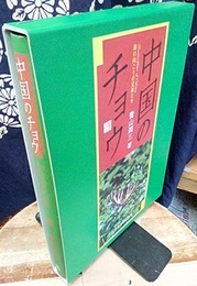 中国のチョウ 海の向こうの兄弟たち 