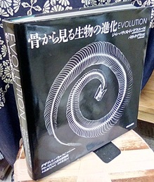 骨から見る生物の進化  