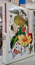 原色精密日本森林樹木図譜 附日本竹類図譜 