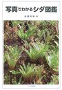 写真でわかるシダ図鑑  