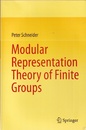 Modular Representation Theory of Finite Groups  