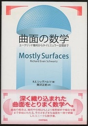 曲面の数学 ユークリッド幾何からタイヒミュラー空間まで 