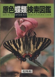 原色蝶類検索図鑑  