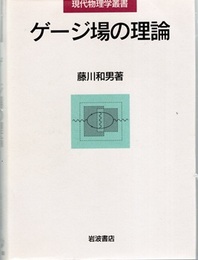 ゲージ場の理論  
