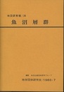 魚沼層群　　付図3枚：付表2枚  