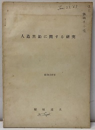人造黒鉛に関する研究  