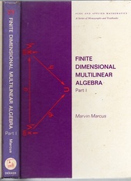 Finite Dimensional Multilinear Algebra : Part. 1  