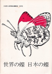 世界の蝶　日本の蝶（1969年） 大阪市立自然科学博物館1969 