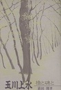 玉川上水  橋と碑と  
