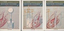熱学思想の史的展開　全3巻 熱とエントロピー 