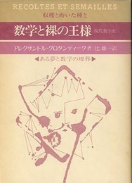 数学と裸の王様　ある夢と数学の埋葬  