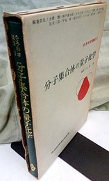 分子集合体の量子化学  