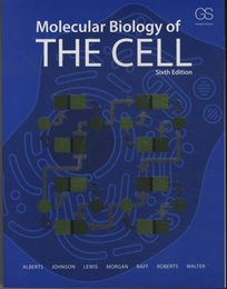 Molecular Biology of the Cell : 6th Edition (Soft) (英) 細胞の分子生物学：第6版 