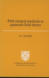 Path Integral Methods in Quantum Field Theory (Soft)  