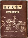 東京災害史  