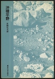 沖積平野  