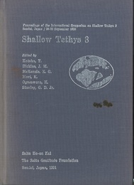 Shallow Tethys 3  