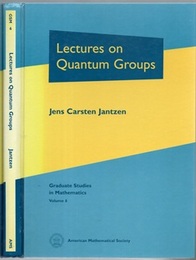 Lectures on Quantum Groups  