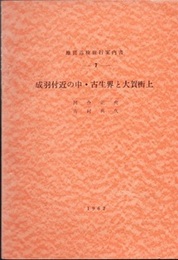 成羽付近の中・古生界と大賀衡上  