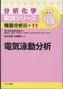 電気泳動分析  