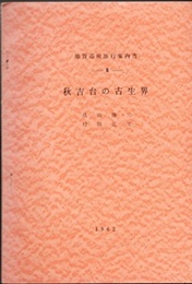 秋吉台の古生界  