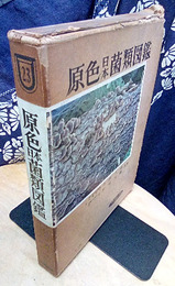 原色日本菌類図鑑  