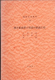 別子鉱床群と付近の結晶片岩  