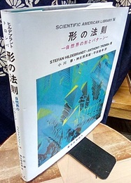 形の法則 自然界の形とパターン 
