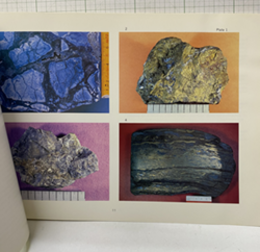Ore Microscopy of the Kuroko Ores in Japan (Soft) (英) 日本の黒鉱の顕微鏡検査 