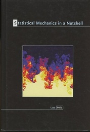 Statistical Mechanics in a Nutshell  