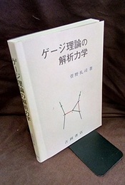 ゲージ理論の解析力学  