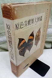 原色台湾蝶類大図鑑  