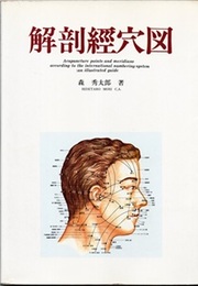解剖経穴図  