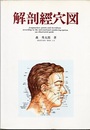 解剖経穴図  