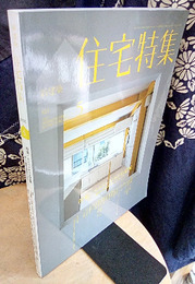 新建築　住宅特集　2021年 5月号　特集：リノベーションの意味 新しい価値を創造する18のアイデア 