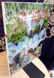 新建築　住宅特集　2021年 8月号　特集：庭 建築と自然を繋ぐもの 