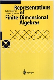 Representations of Finite-Dimensional Algebras (Soft)  