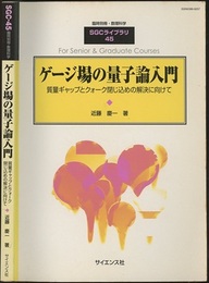 ゲージ場の量子論入門 質量ギャップとクォーク閉じ込めの解決に向けて 