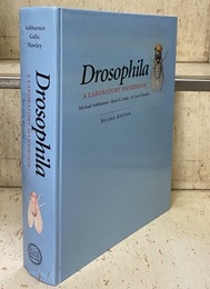 Drosophila : A Laboratory Handbook : 2nd Edition (Hard) (英) ショウジョウバエ実験ハンドブック 