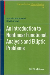 An Introduction to Nonlinear Functional Analysis and Elliptic Problems  
