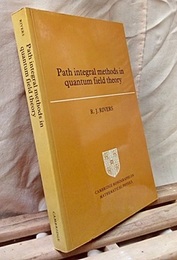Path Integral Methods in Quantum Field Theory (Soft)  