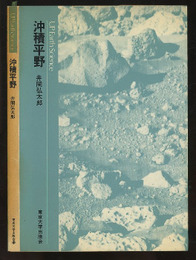 沖積平野  