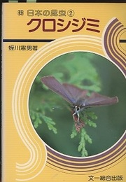 クロシジミ  