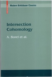 Intersection Cohomology (Soft)  