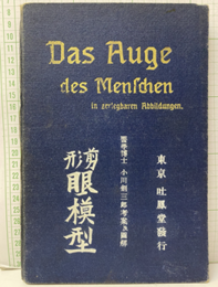 剪形眼模型  