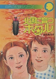 北国に育つホタル 私の観察日記 