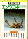驚異の秘薬エゾウコギ(五加参・エレウテロコック)  