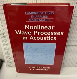Non-Linear Wave Processes Acoustics  