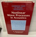Non-Linear Wave Processes Acoustics  