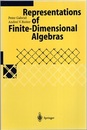 Representations of Finite-Dimensional Algebras (Soft)  